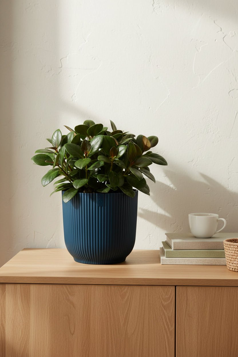 Cache - pot ELHO Vibes Fold — Bleu Ø18 cm - Verdeia