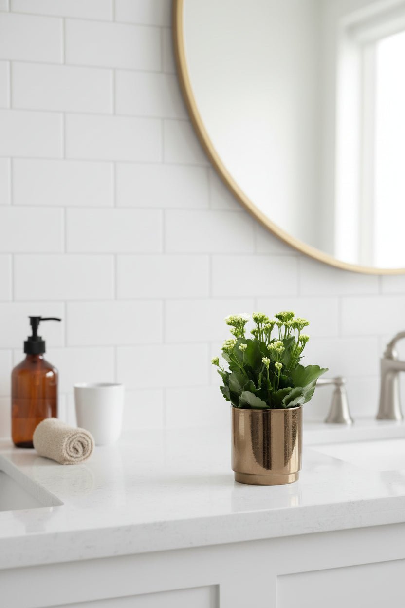 Kalanchoe blanc – Pot céramique doré bronze (Ø12 x H27 cm) - Verdeia