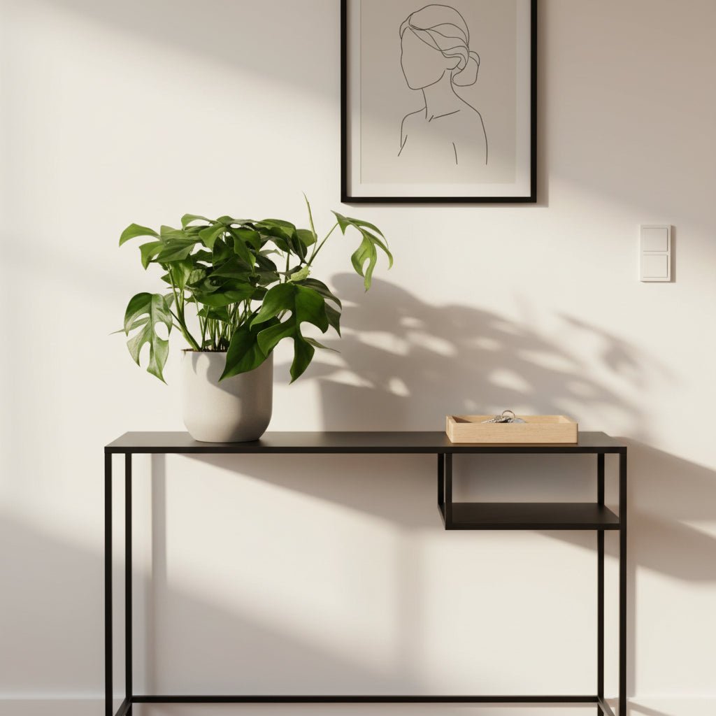 Rhaphidophora tetrasperma — Monstera Minima - Verdeia