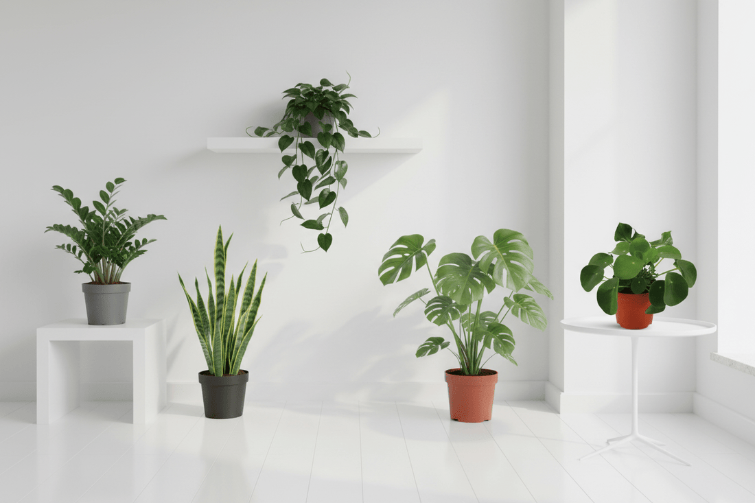 Faciles d’entretien