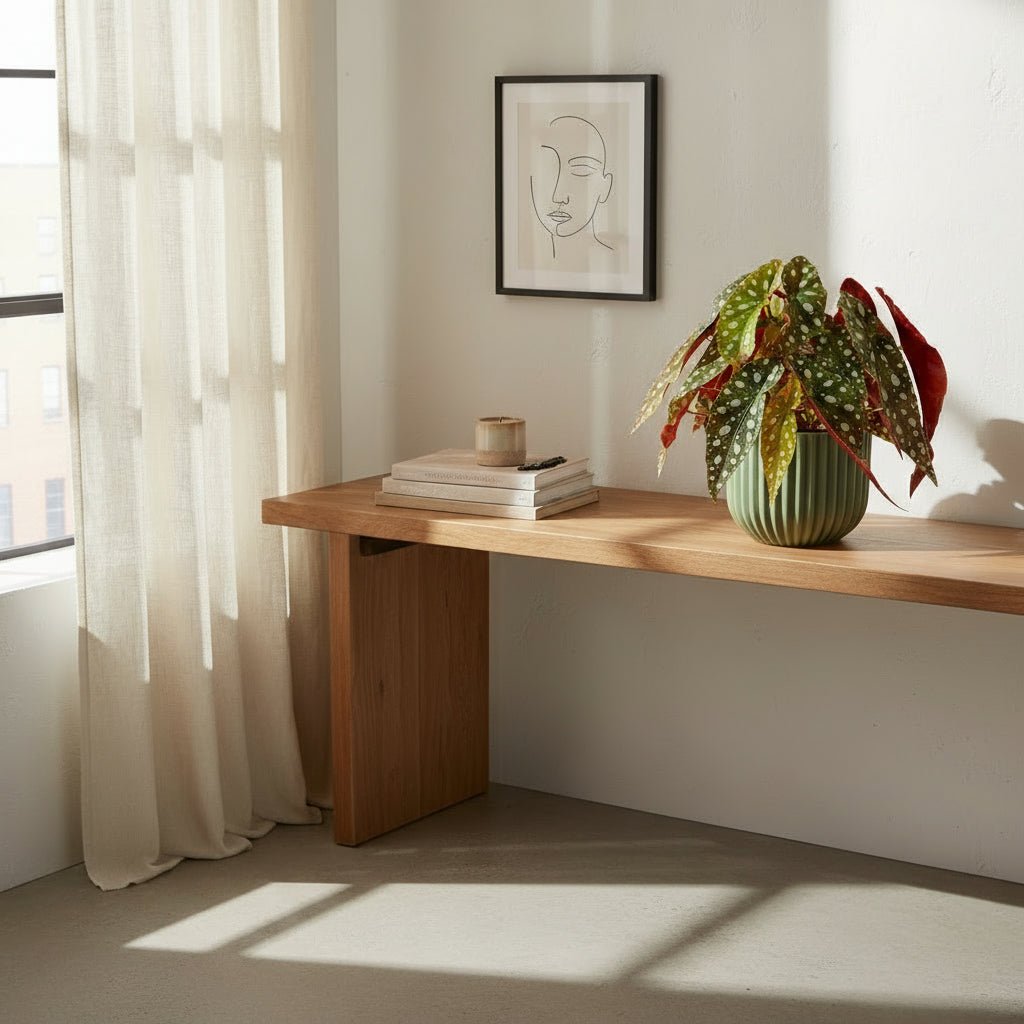 Begonia maculata ‘Wightii’ — Ø12 cm — H20 cm - Verdeia