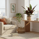 Calathea lancifolia ‘Insignis’ - Verdeia