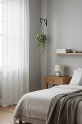 Ceropegia Woodii — Chaîne de cœurs — Ø14 cm — H50 cm - Verdeia