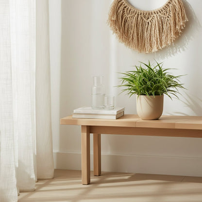 Chlorophytum comosum ‘Ocean’ — Plante araignée — D15 x H25 cm - Verdeia