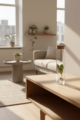 Clusia en tube de verre — Ø5 cm — H15 cm - Verdeia