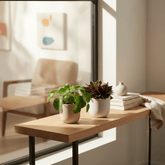 Duo Peperomia Rosso &amp; Pilea Peperomioides - 10.5 x 15 cm - Verdeia