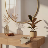 Ficus Elastica Belize – Caoutchouc panaché - Verdeia