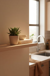 Gasteria Hybride Aurora — Ø11 cm — H15 cm - Verdeia