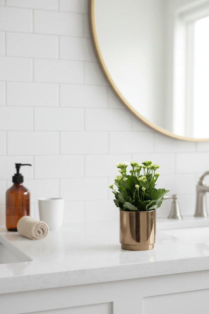 Kalanchoe blanc – Pot céramique doré bronze (Ø12 x H27 cm) - Verdeia