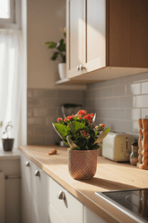 Kalanchoe Rosalina Don Justino — Flaming Katy — Ø12 cm — H30 cm + Pot relief rose - Verdeia