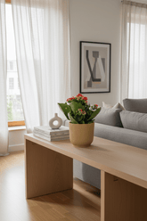 Kalanchoe Rosalina Don Justino — Flaming Katy — Ø14 cm — H30 cm + ELHO Vibes Fold jaune - Verdeia