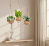 Kokodama Jungle Mix — Lot de 3 — Ø17 cm — H28 cm - Verdeia