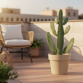 Opuntia consolea — Cactus raquette — Ø17 cm — H55 cm - Verdeia