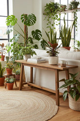 Philodendron Imperial Red — Philodendron impérial rouge - Verdeia