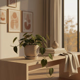 Philodendron Micans – Philodendron velours - Verdeia