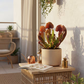 Sarracenia × Catesbaei — Ø12 cm — H23 cm - Verdeia