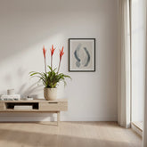 Vriesea ‘Elan’ - Ø12cm - H55cm - Verdeia